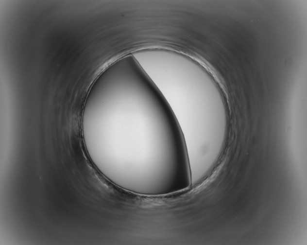 X0000085310993200703091050