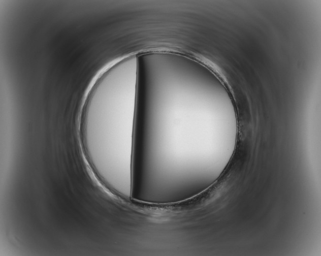 X0000085310995200703091050