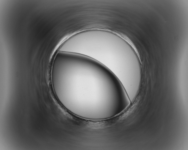 X0000085310997200703091050