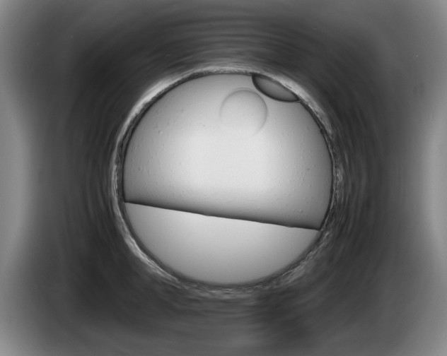 X0000085310998200703091050