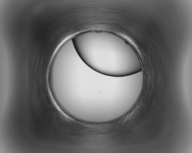 X0000085310999200703091050