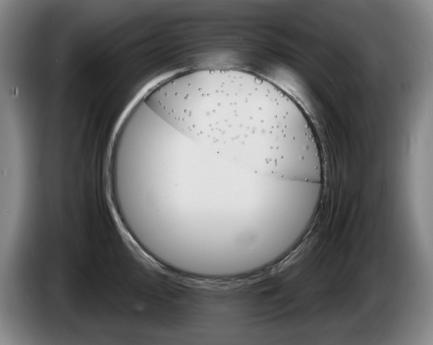 X0000085311000200703091050