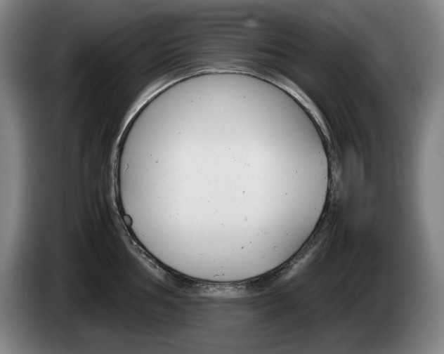 X0000085311002200703091050