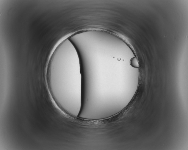 X0000085311003200703091050