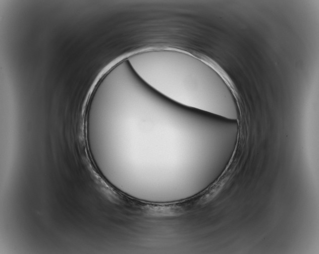 X0000085311004200703091050