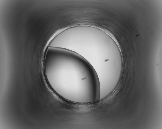 X0000085311005200703091050