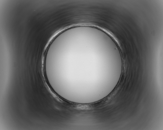X0000085311006200703091050