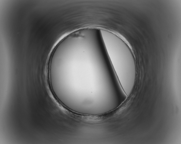 X0000085311007200703091050