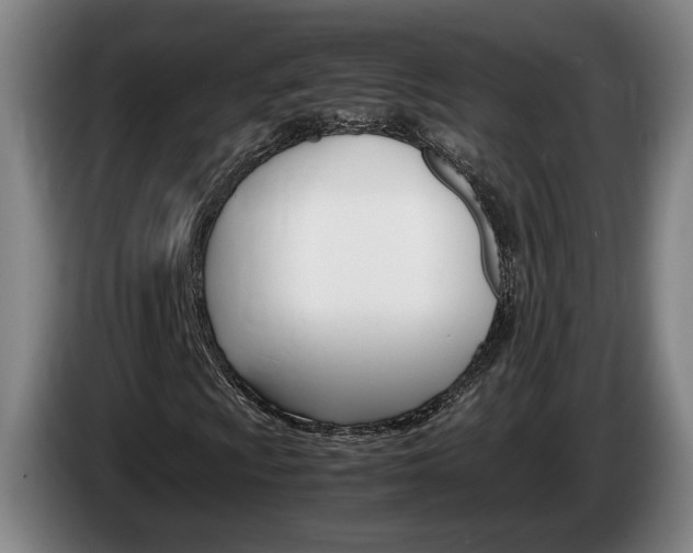 X0000085311009200703091049