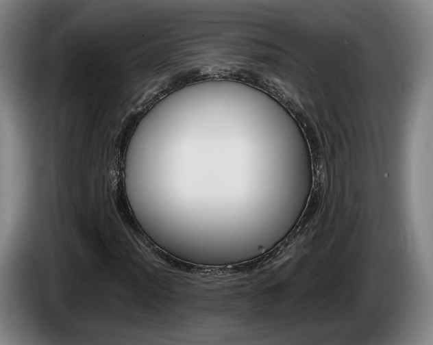 X0000085311012200703091049