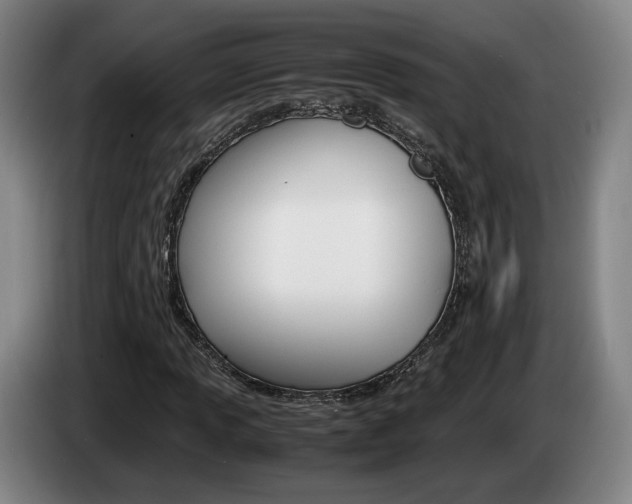 X0000085311013200703091049