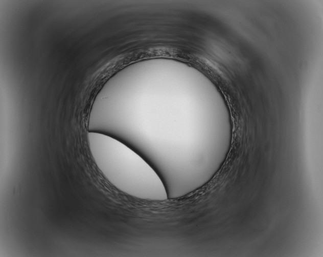 X0000085311015200703091049