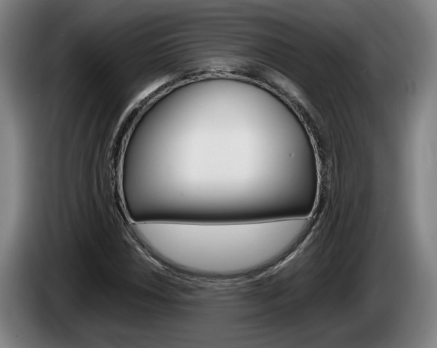 X0000085311018200703091049