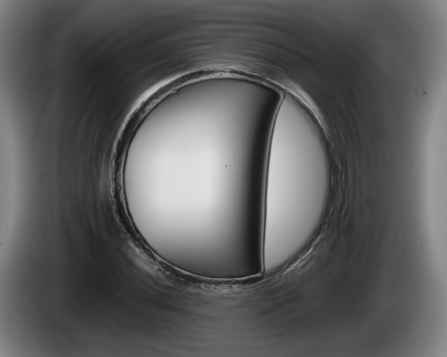 X0000085311020200703091049