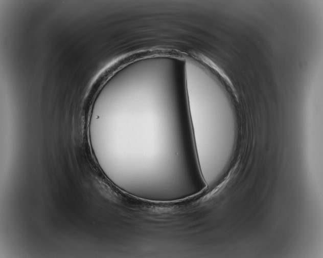 X0000085311021200703091049