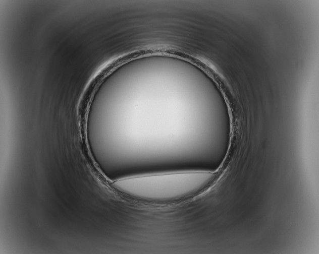 X0000085311022200703091050