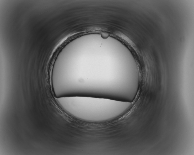 X0000085311023200703091050