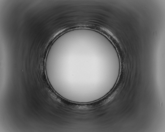 X0000085311025200703091050