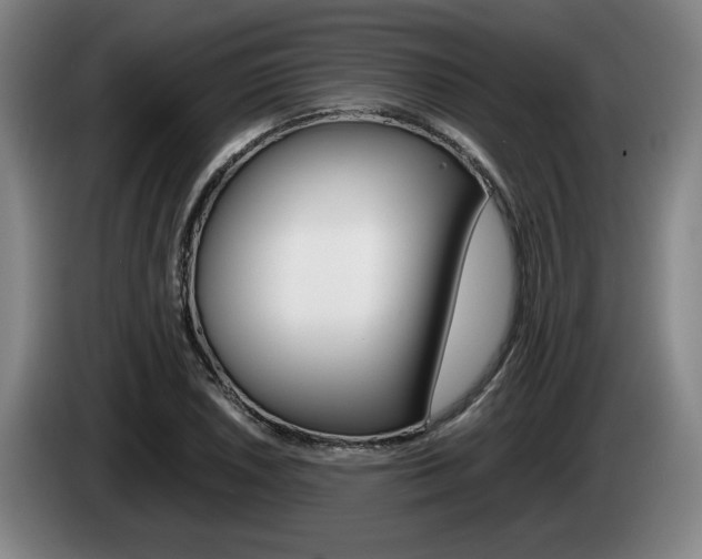 X0000085311026200703091050