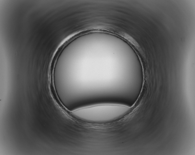 X0000085311028200703091050