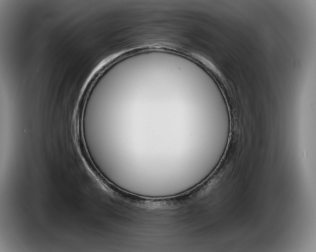 X0000085311032200703091050