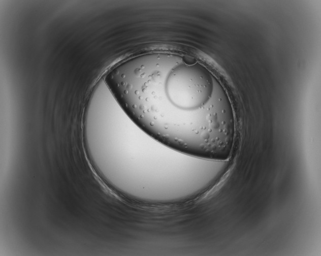 X0000085311033200703091050