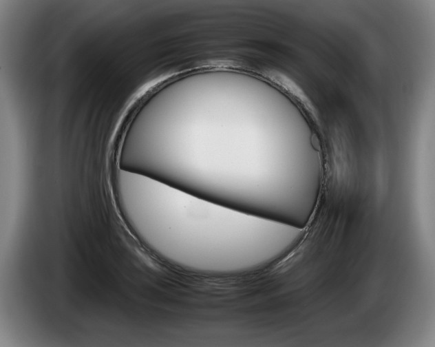 X0000085311035200703091050