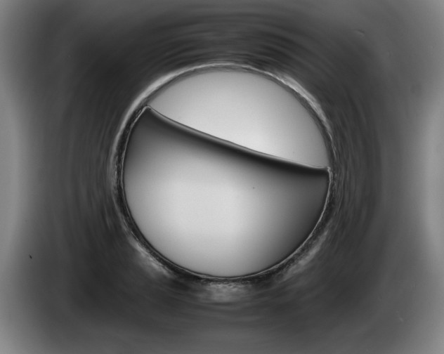X0000085311037200703091050