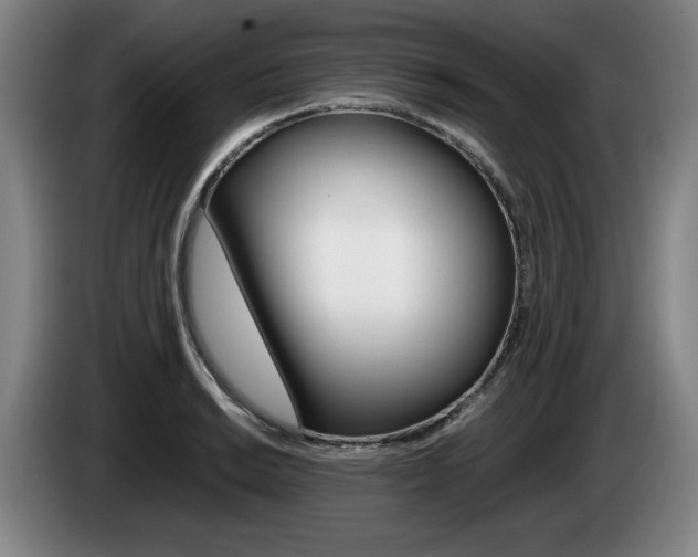 X0000085311038200703091050
