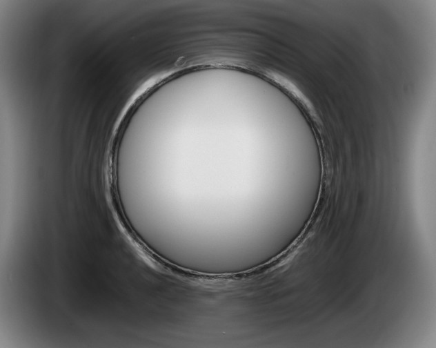 X0000085311040200703091050