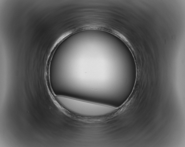 X0000085311042200703091050