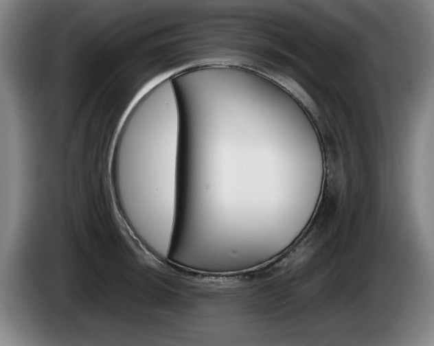 X0000085311044200703091050