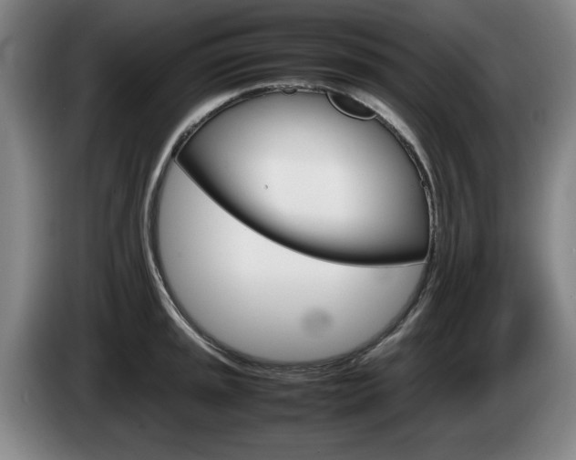 X0000085311045200703091050