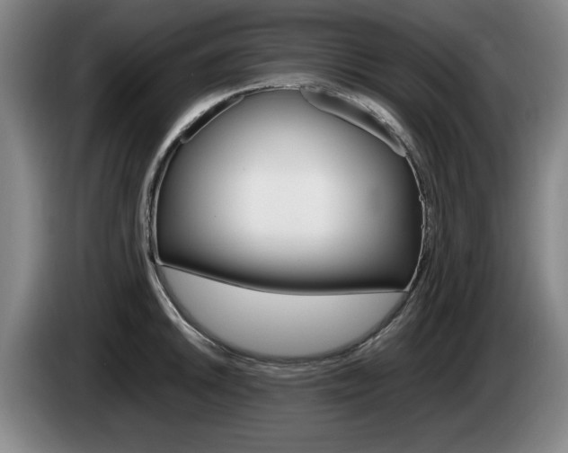 X0000085311046200703091050