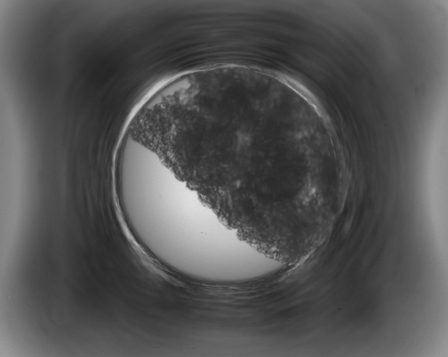 X0000085311047200703091050