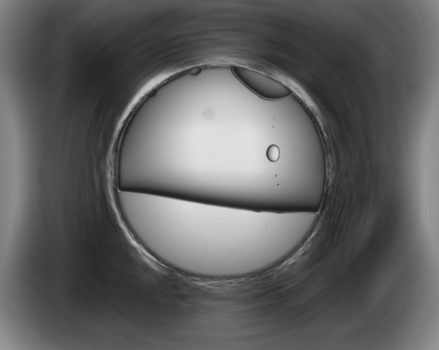 X0000085311048200703091050