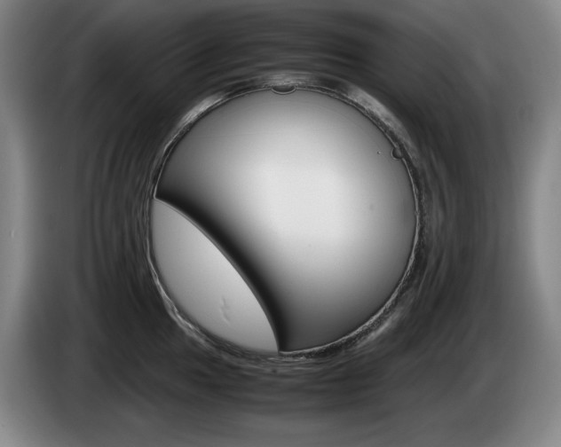 X0000085311049200703091050