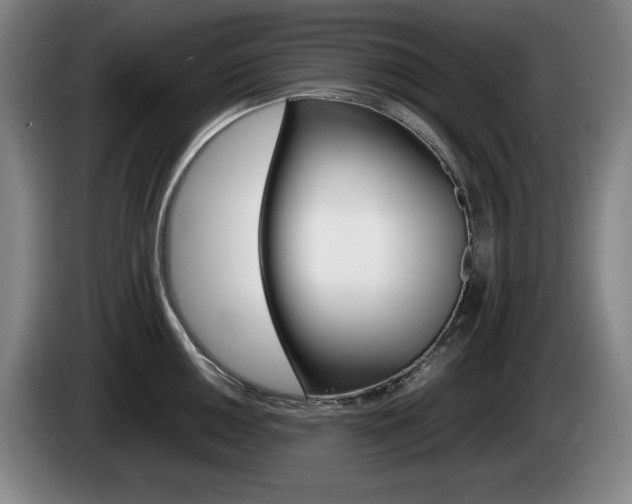 X0000085311050200703091050