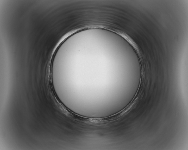 X0000085311052200703091050