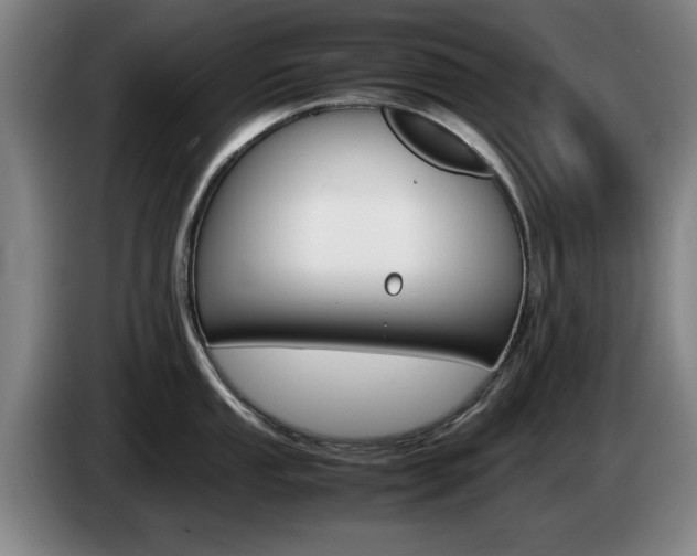 X0000085311053200703091050
