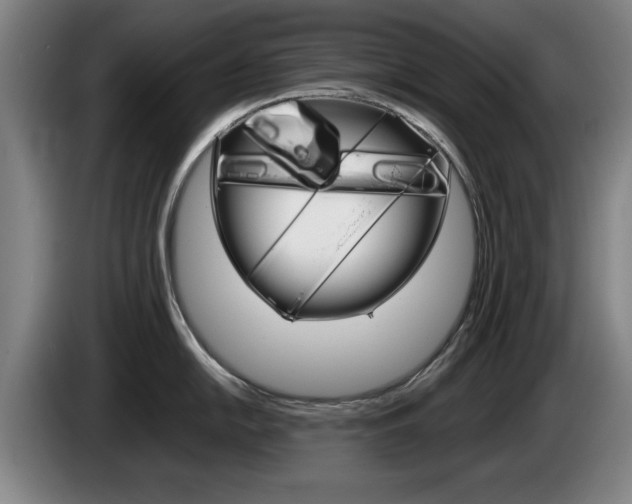 X0000085311054200703091050