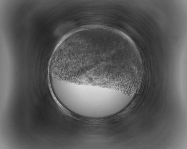 X0000085311055200703091050