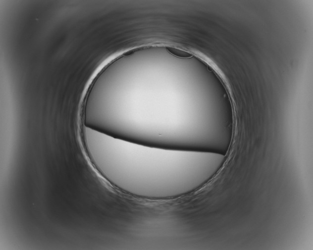 X0000085311056200703091050