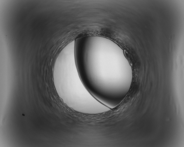 X0000085311057200703091049