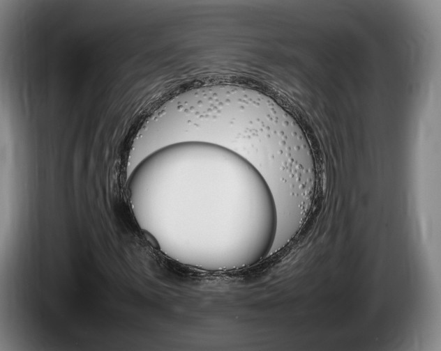 X0000085311059200703091049
