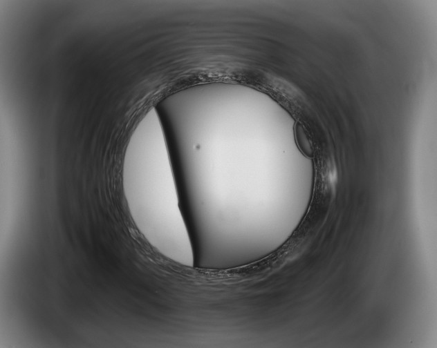 X0000085311060200703091049