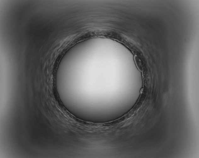 X0000085311061200703091049