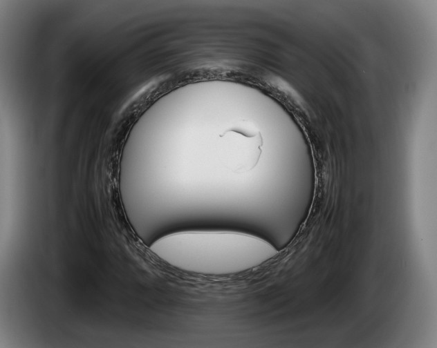 X0000085311064200703091049