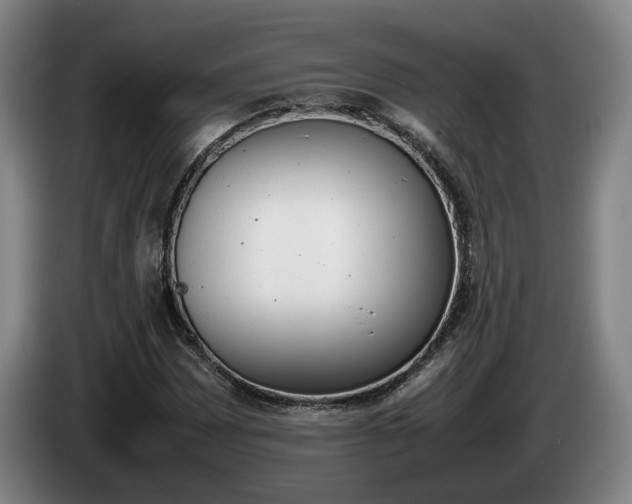 X0000085311065200703091049