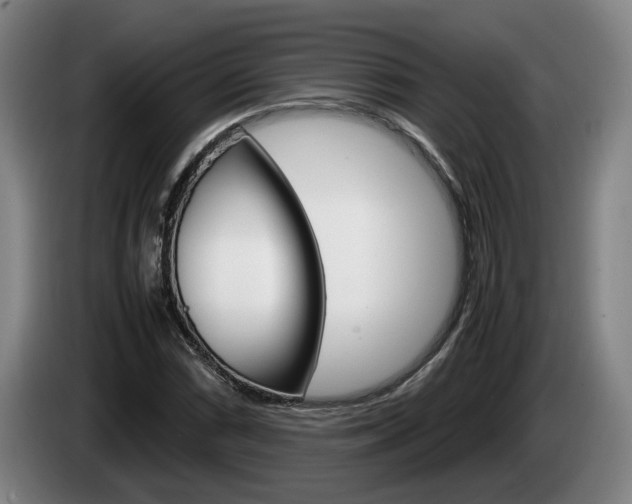 X0000085311066200703091049